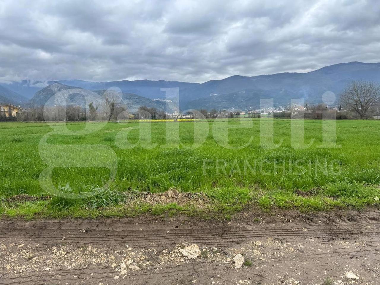 immagine annuncio 4 di 7