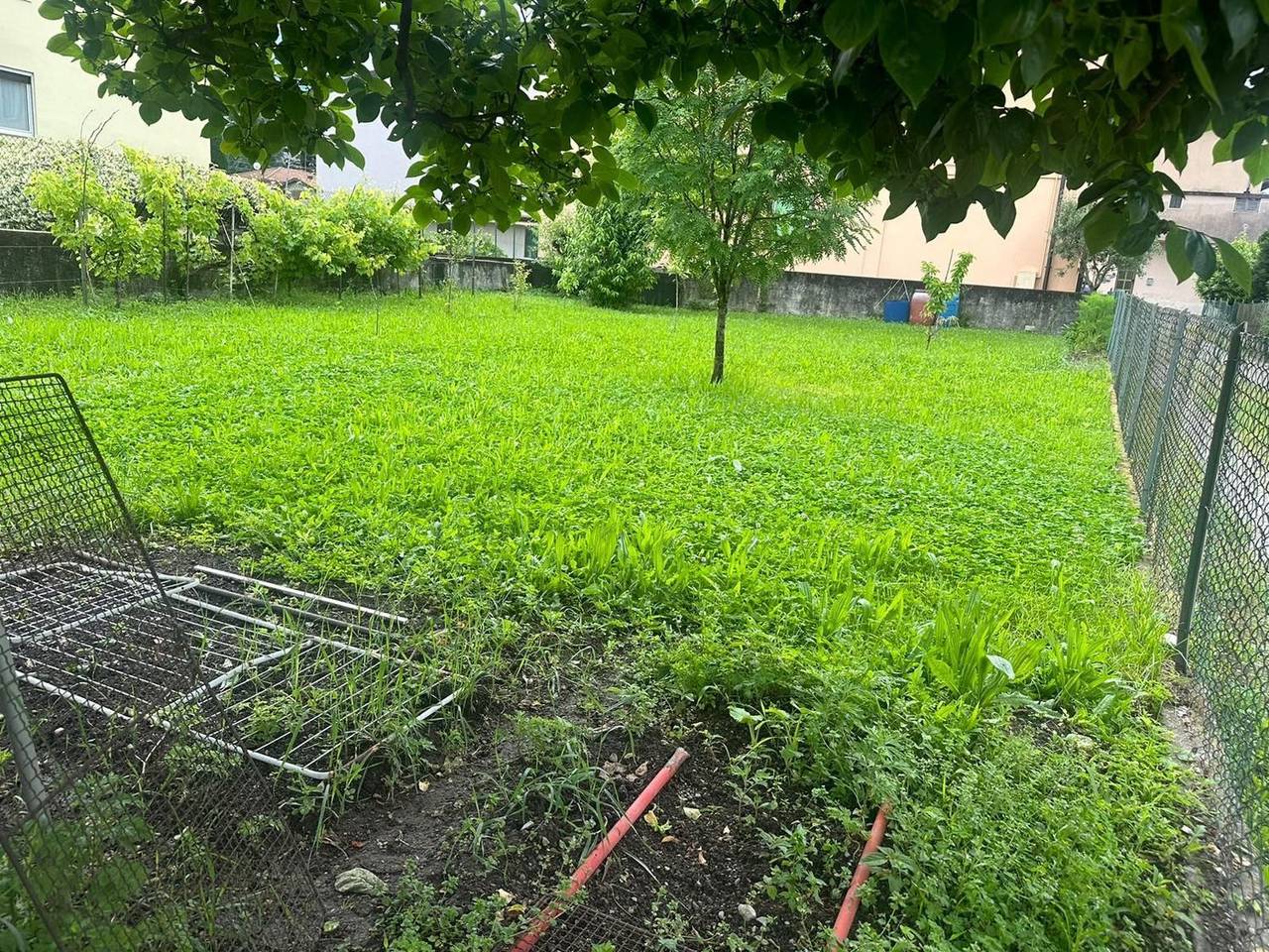 immagine annuncio 9 di 12
