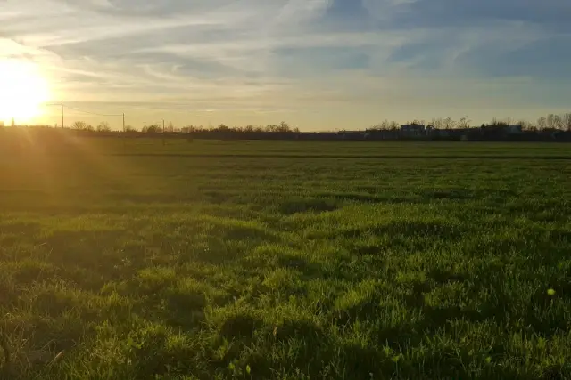 Terreno agricolo in Via Ossi, Castelvetro di Modena - Foto 1