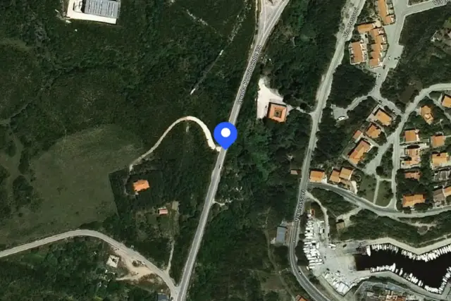 insertion image