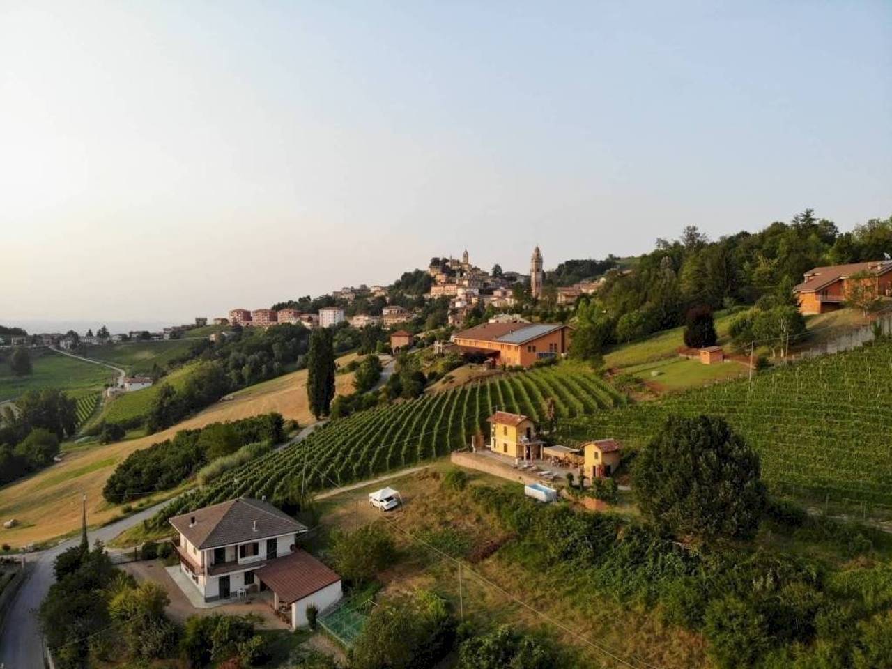 immagine annuncio 9 di 14