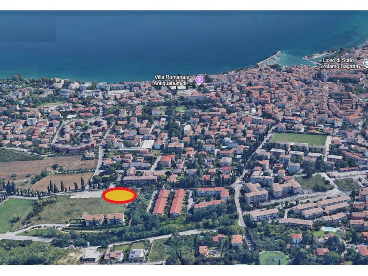 immagine annuncio 1 di 15