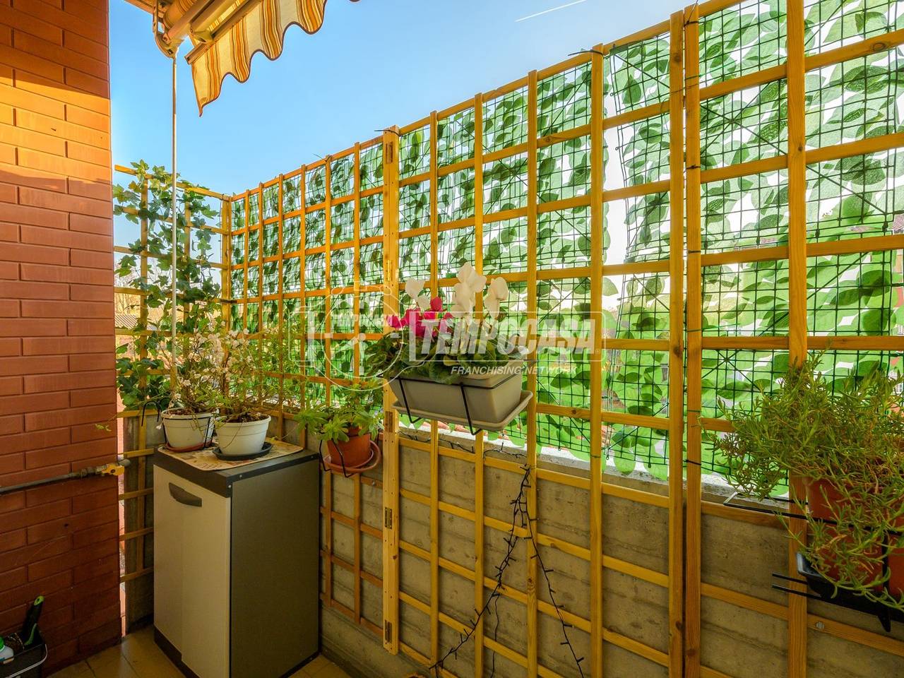 immagine annuncio 12 di 15