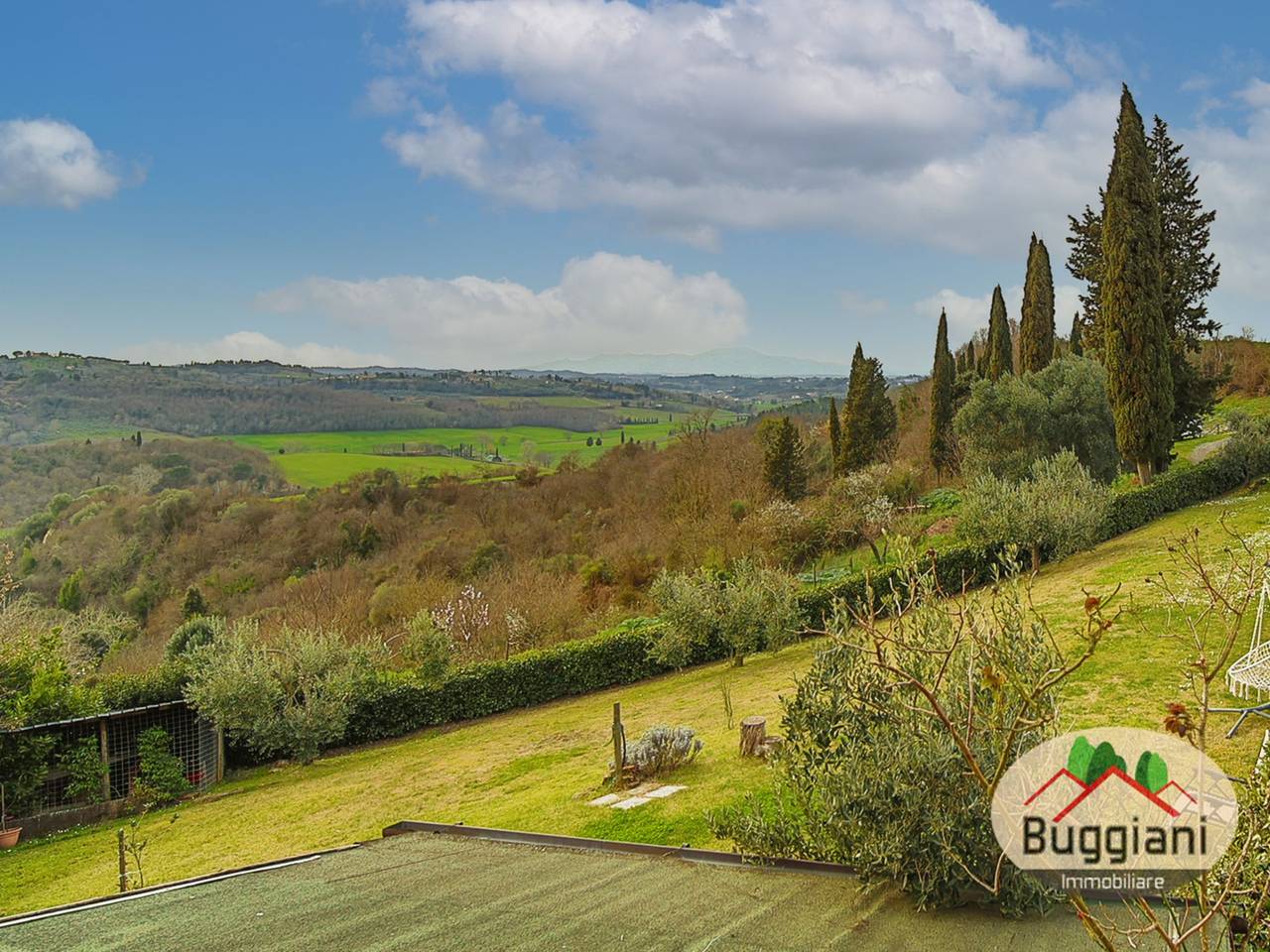 immagine annuncio 11 di 14