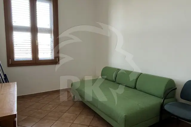 insertion image