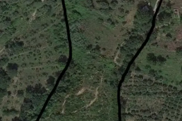 insertion image