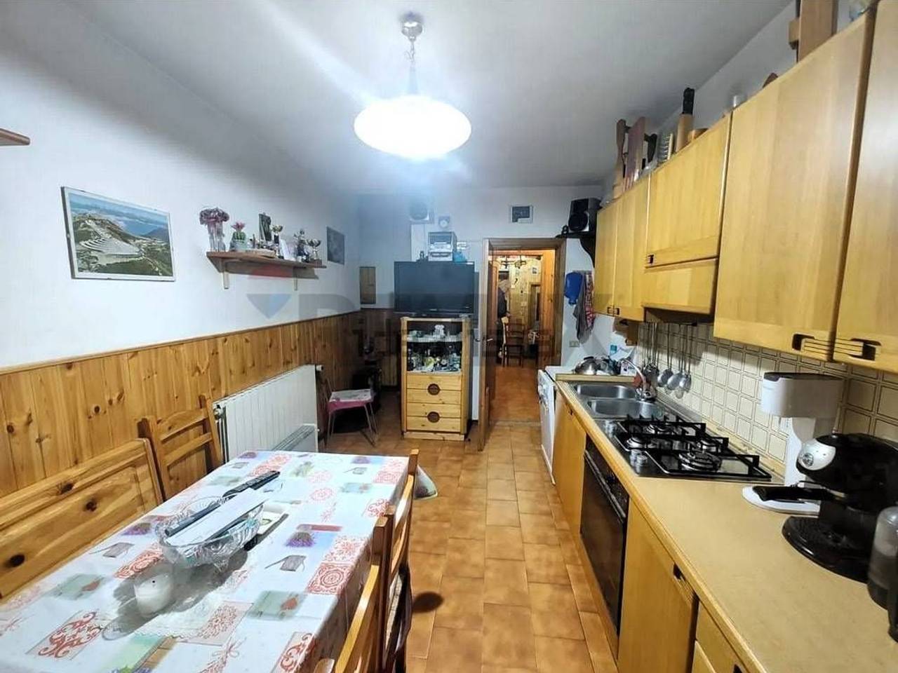 immagine annuncio 5 di 14