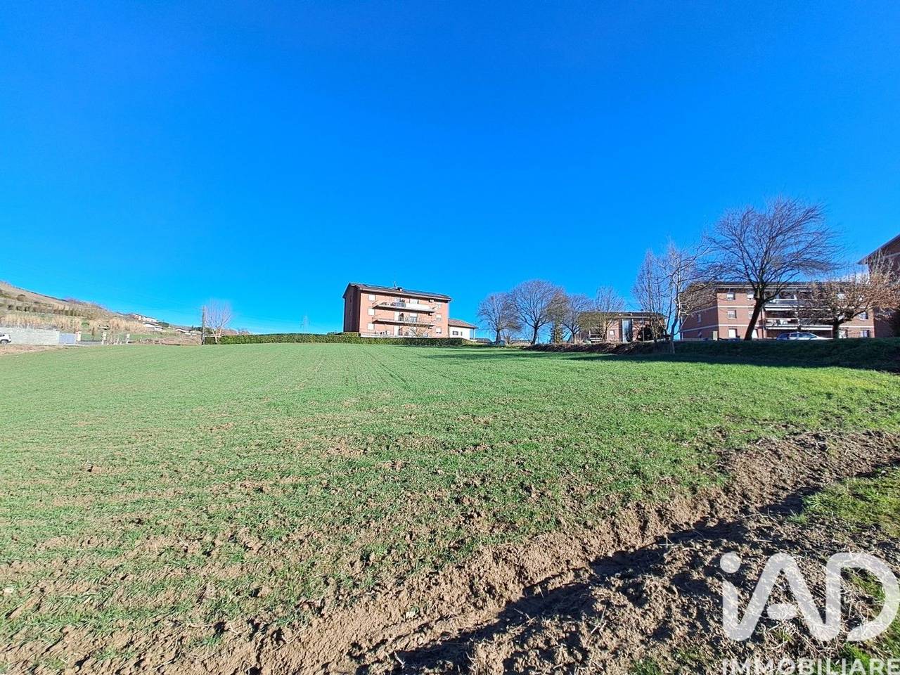 immagine annuncio 5 di 11