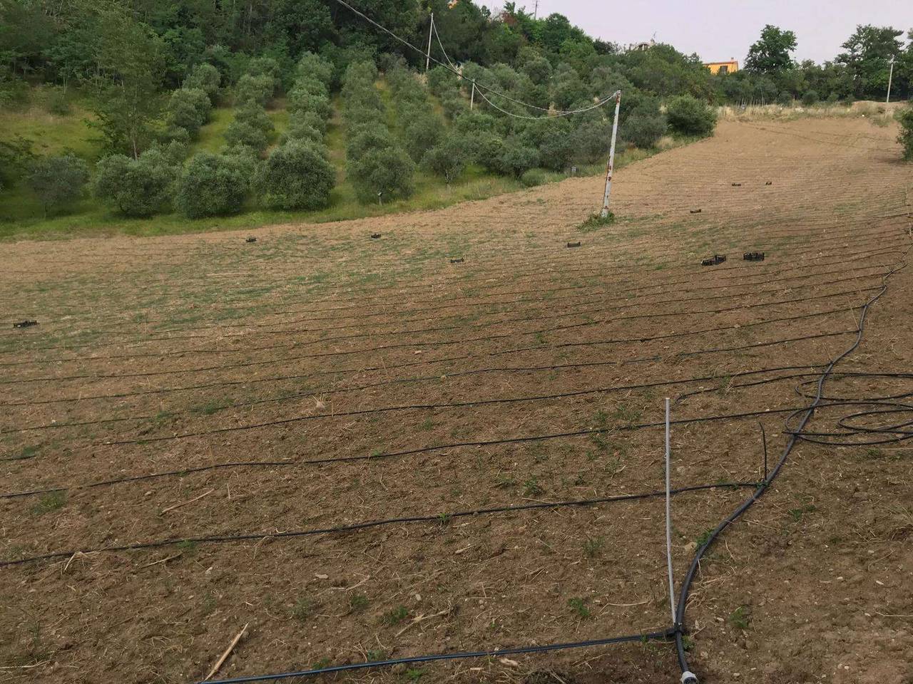 immagine annuncio 8 di 11