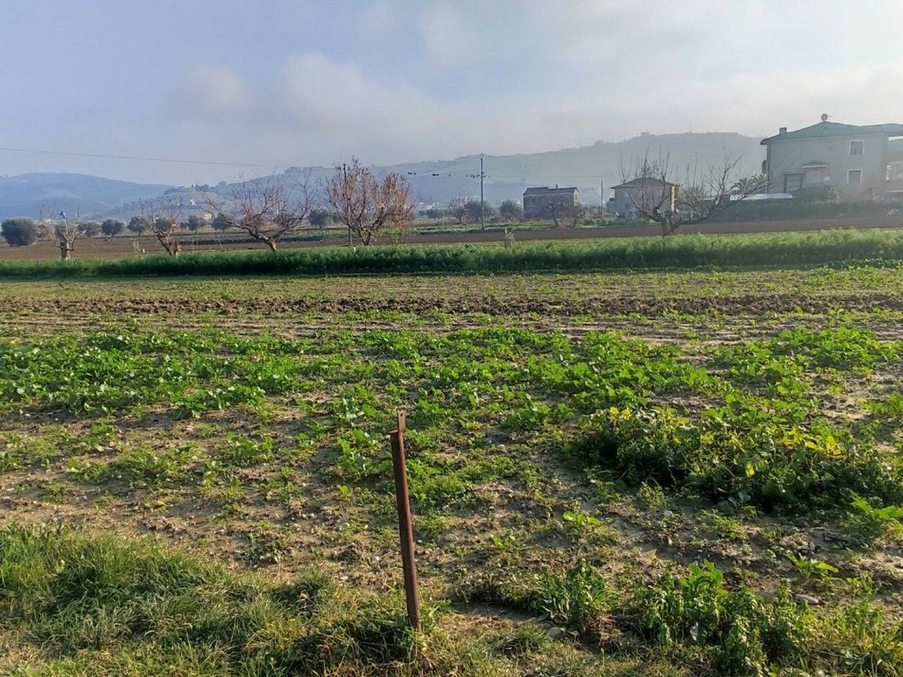 immagine annuncio 13 di 14