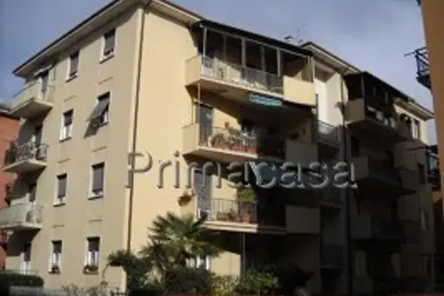 insertion image