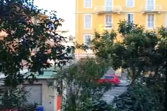 insertion image