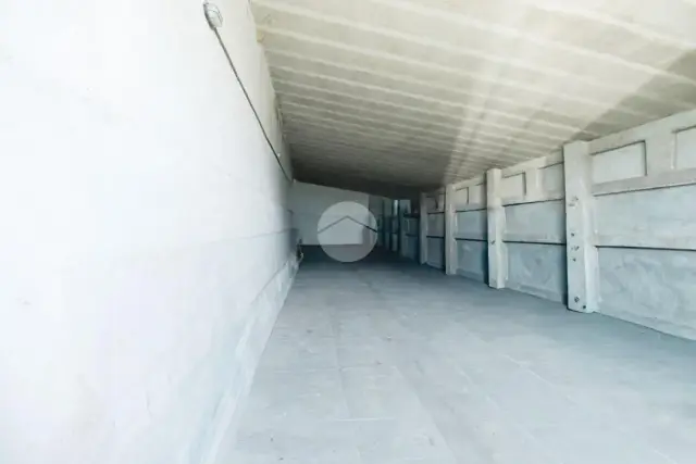 insertion image