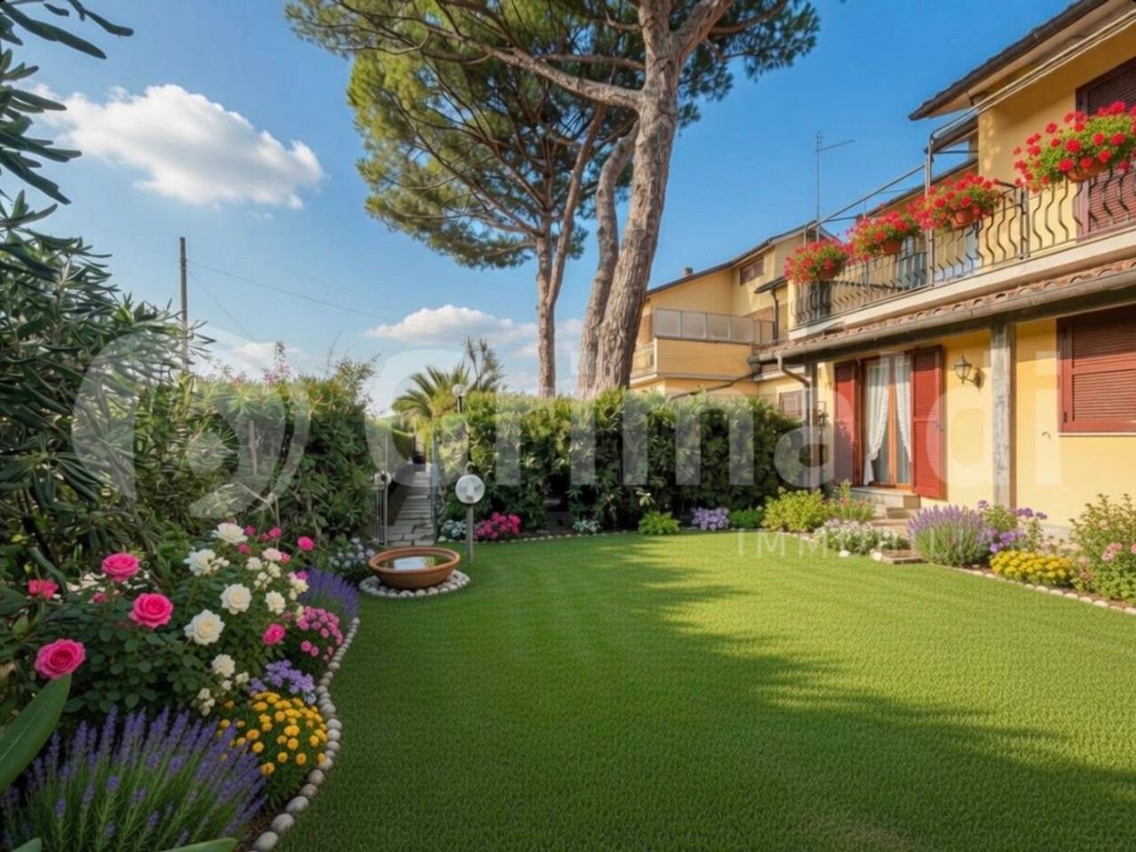 immagine annuncio 2 di 15