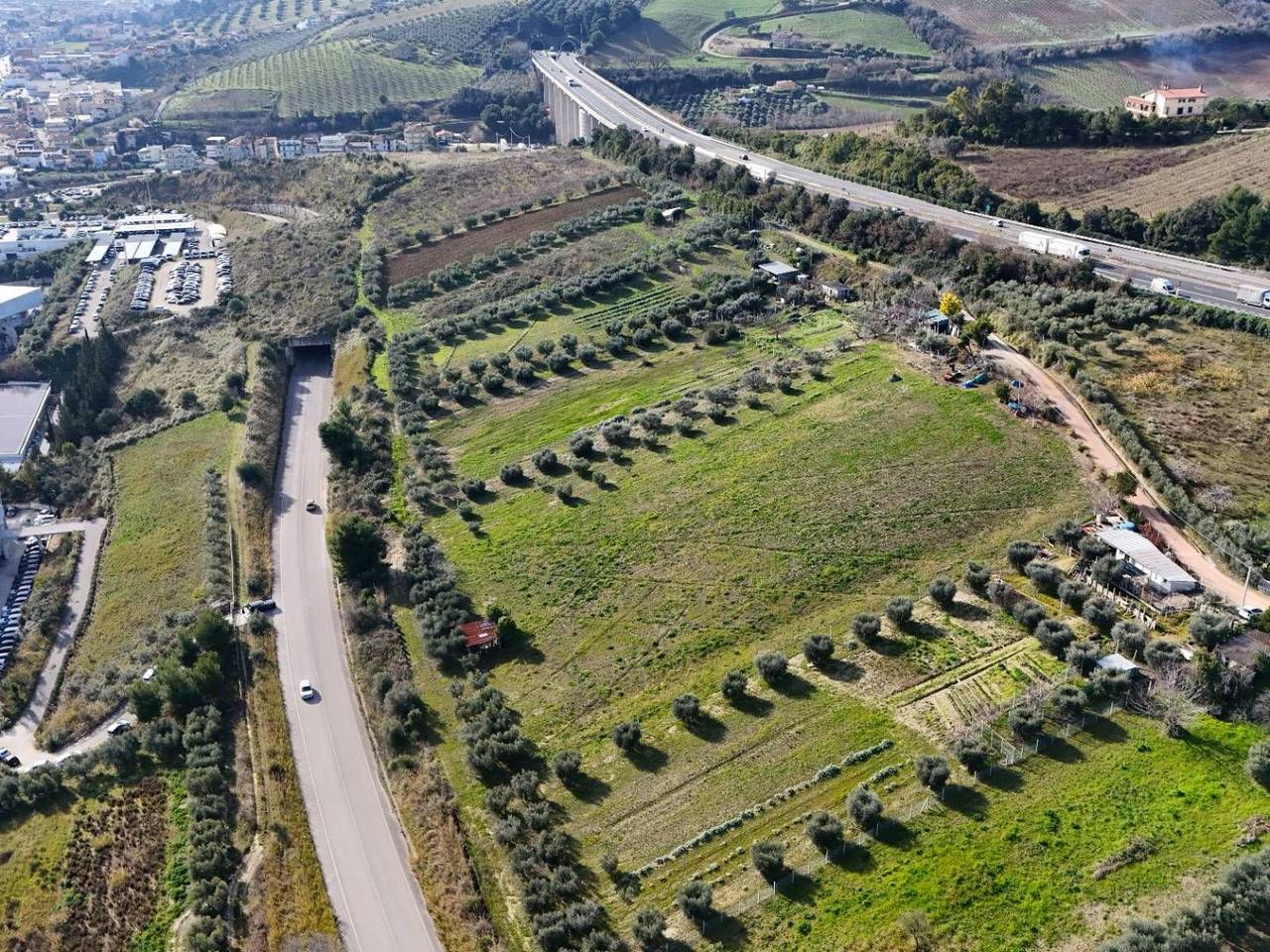 immagine annuncio 1 di 4