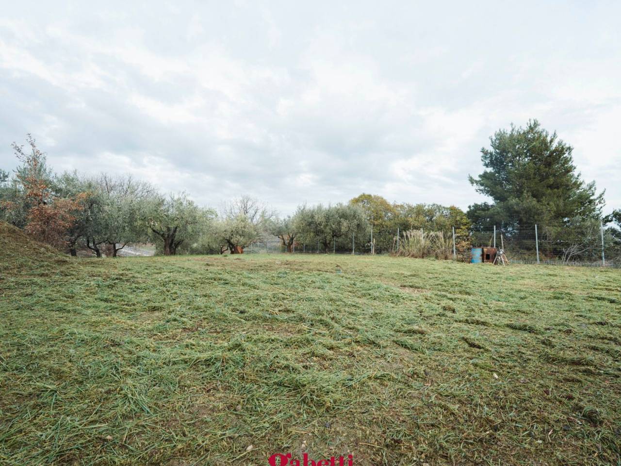 immagine annuncio 7 di 11