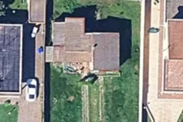 insertion image