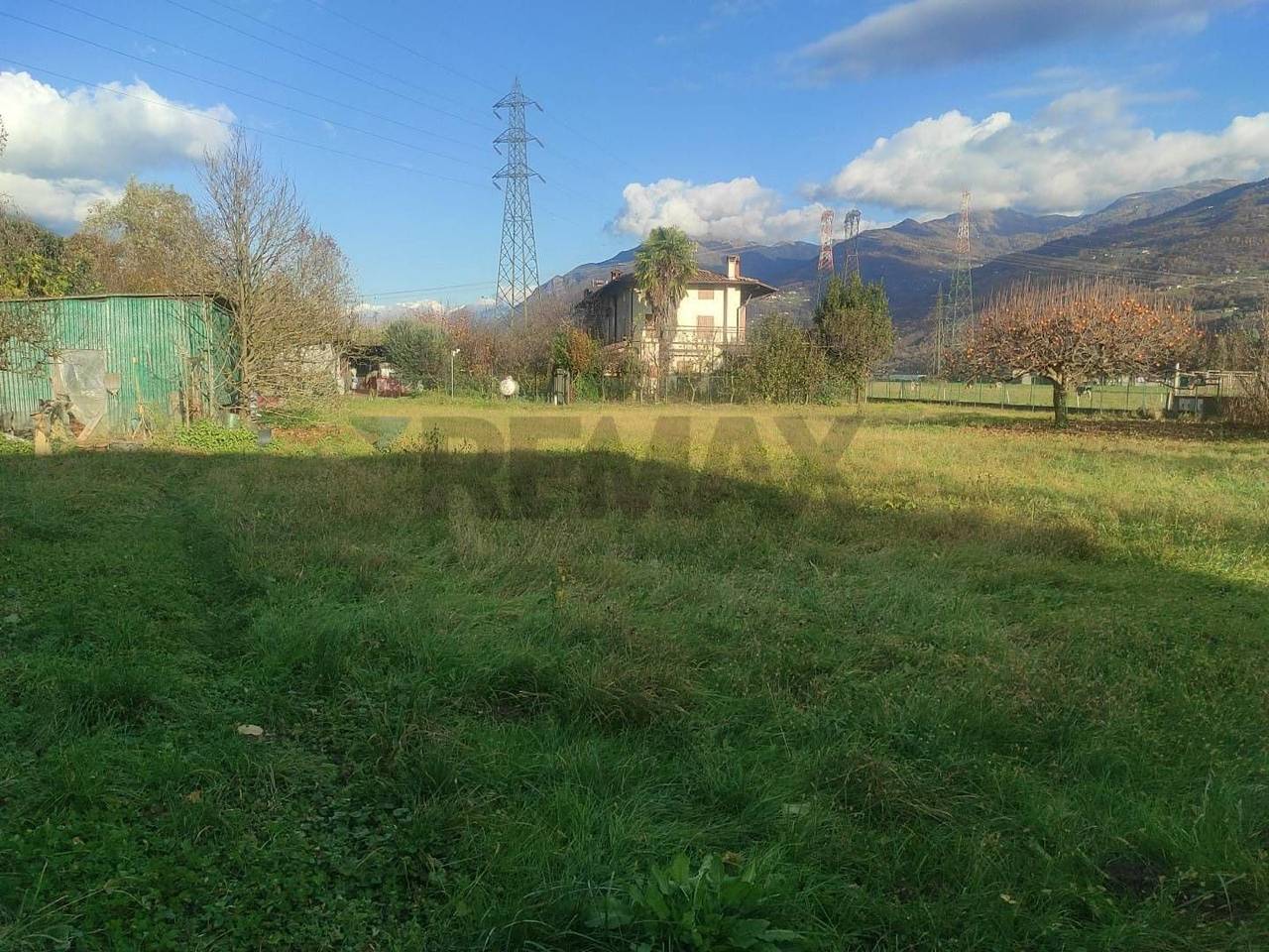 immagine annuncio 3 di 8