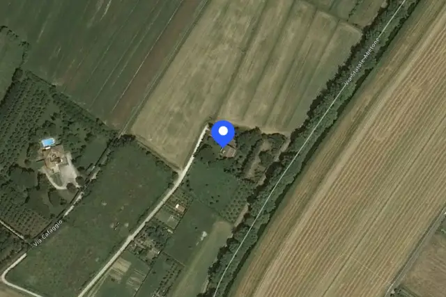 insertion image