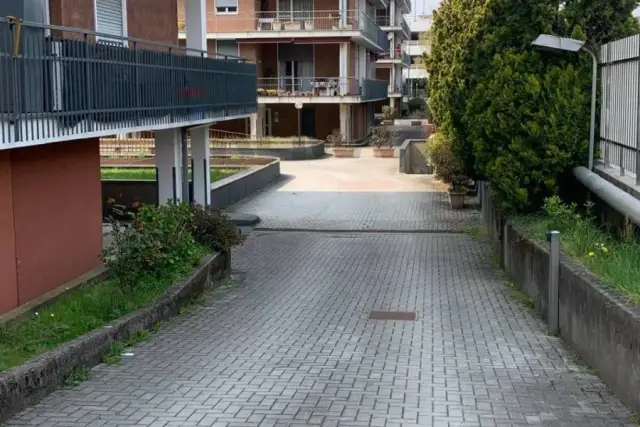 insertion image