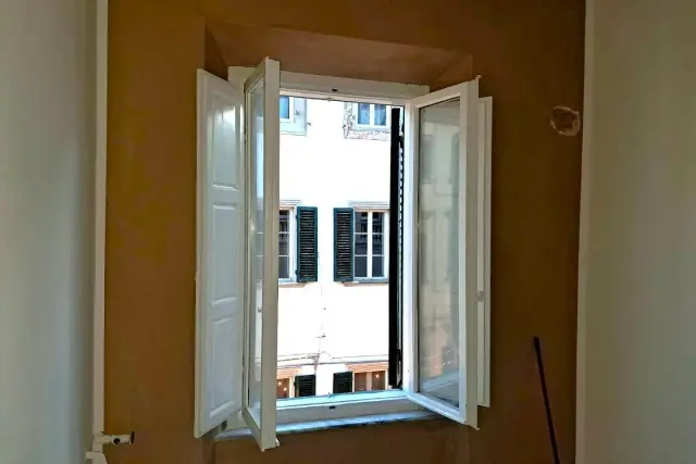 insertion image