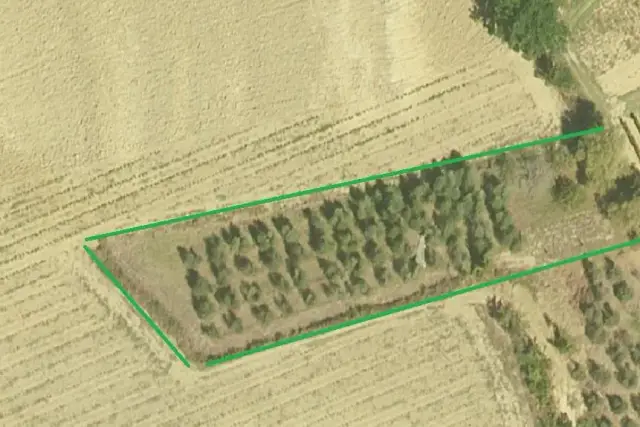 insertion image
