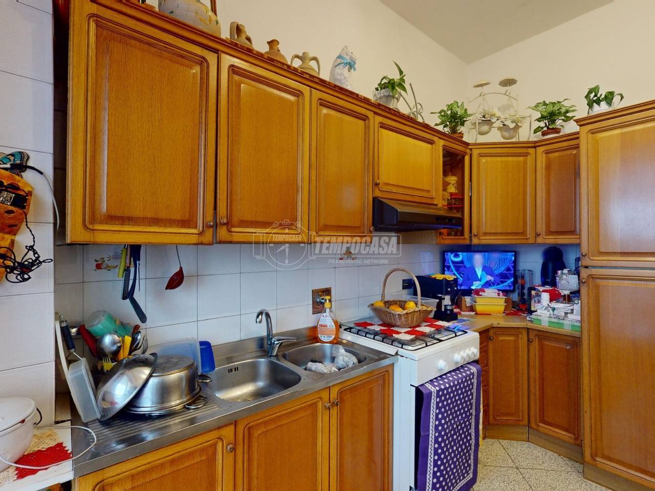 immagine annuncio 1 di 14