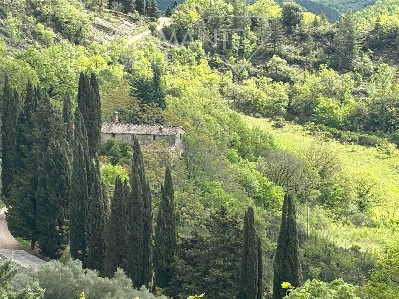 Azienda agricola in , Montone, {3} - Foto 2