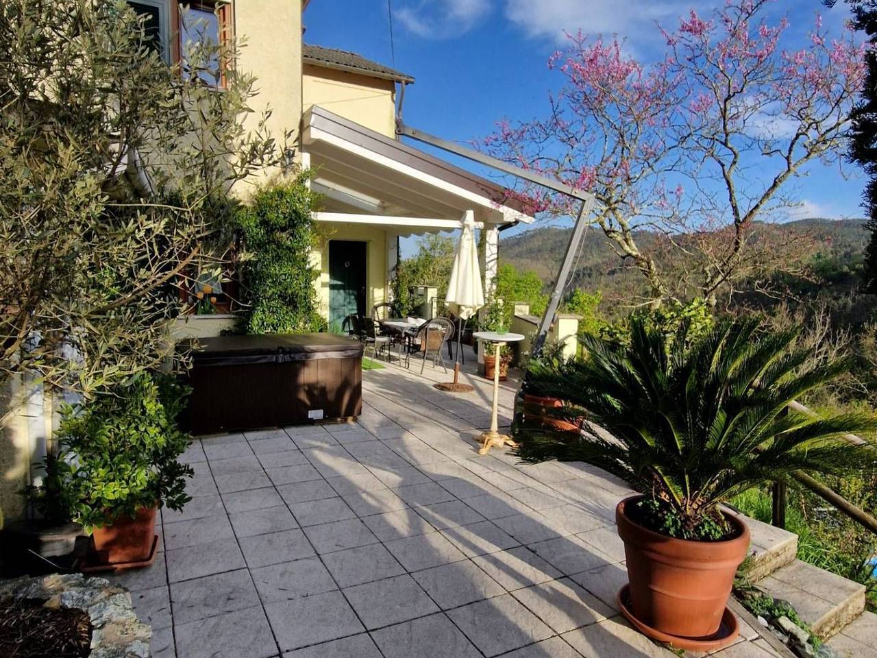 immagine annuncio 9 di 15