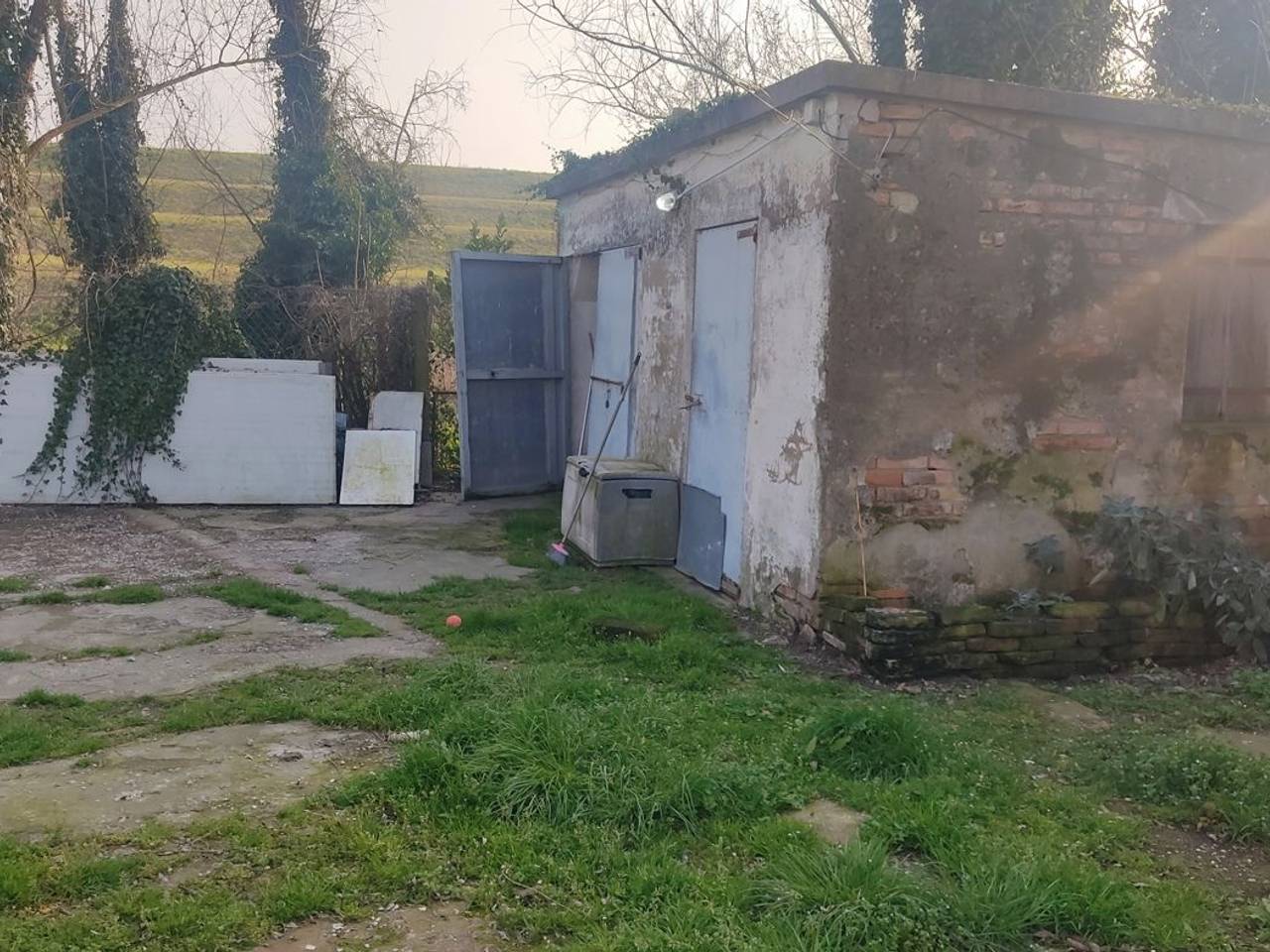 immagine annuncio 9 di 14