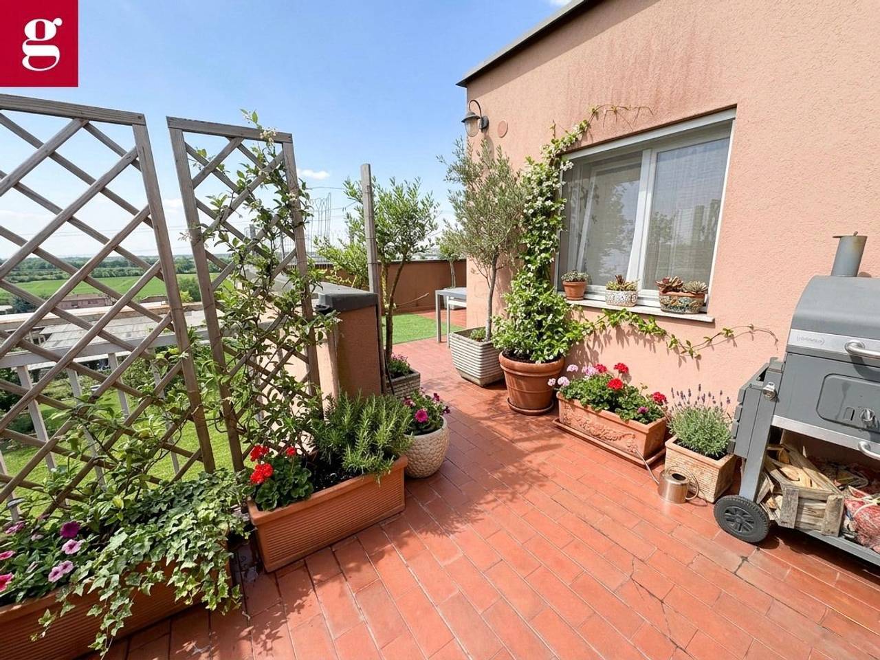 immagine annuncio 2 di 15