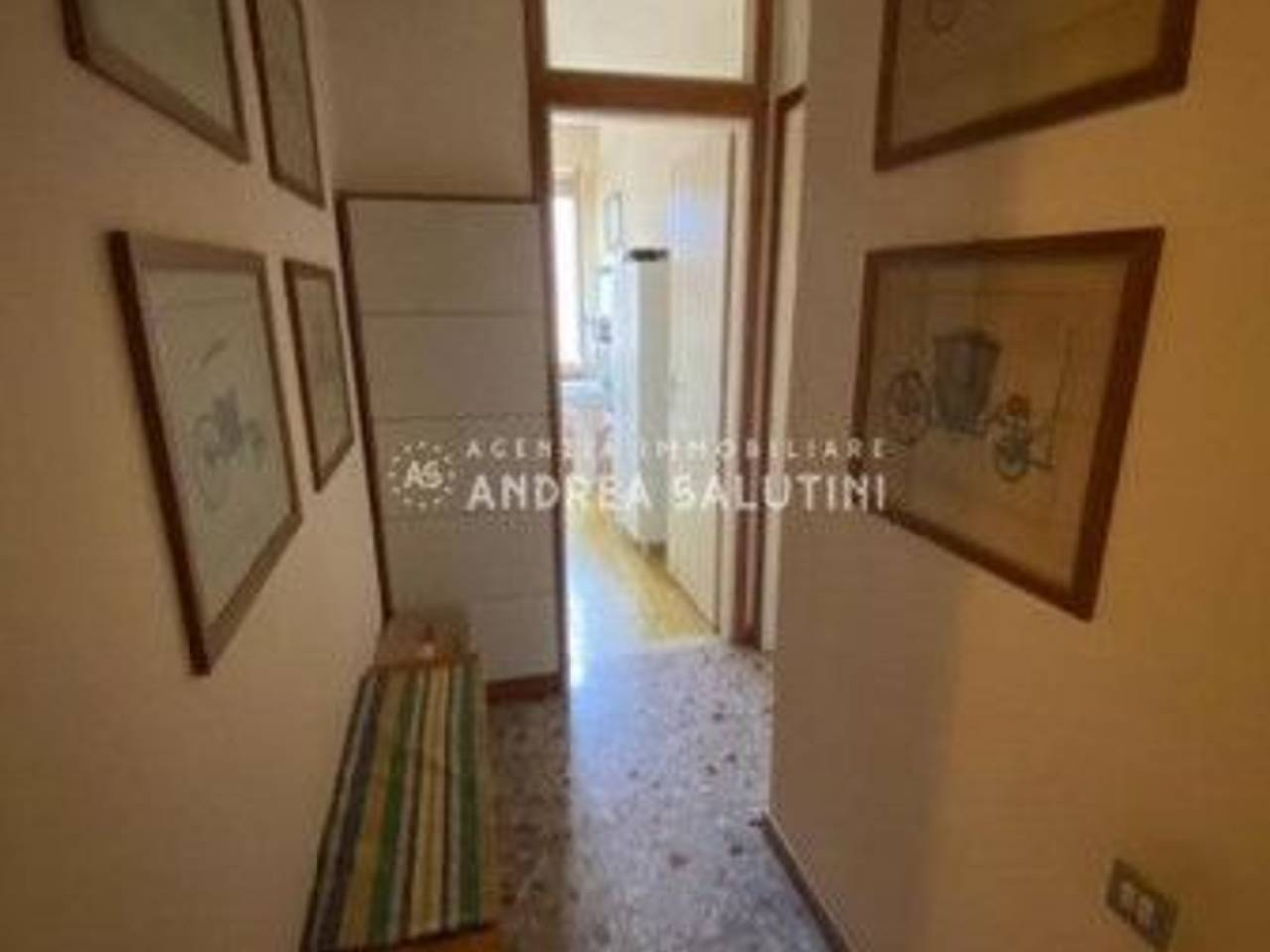 immagine annuncio 1 di 12