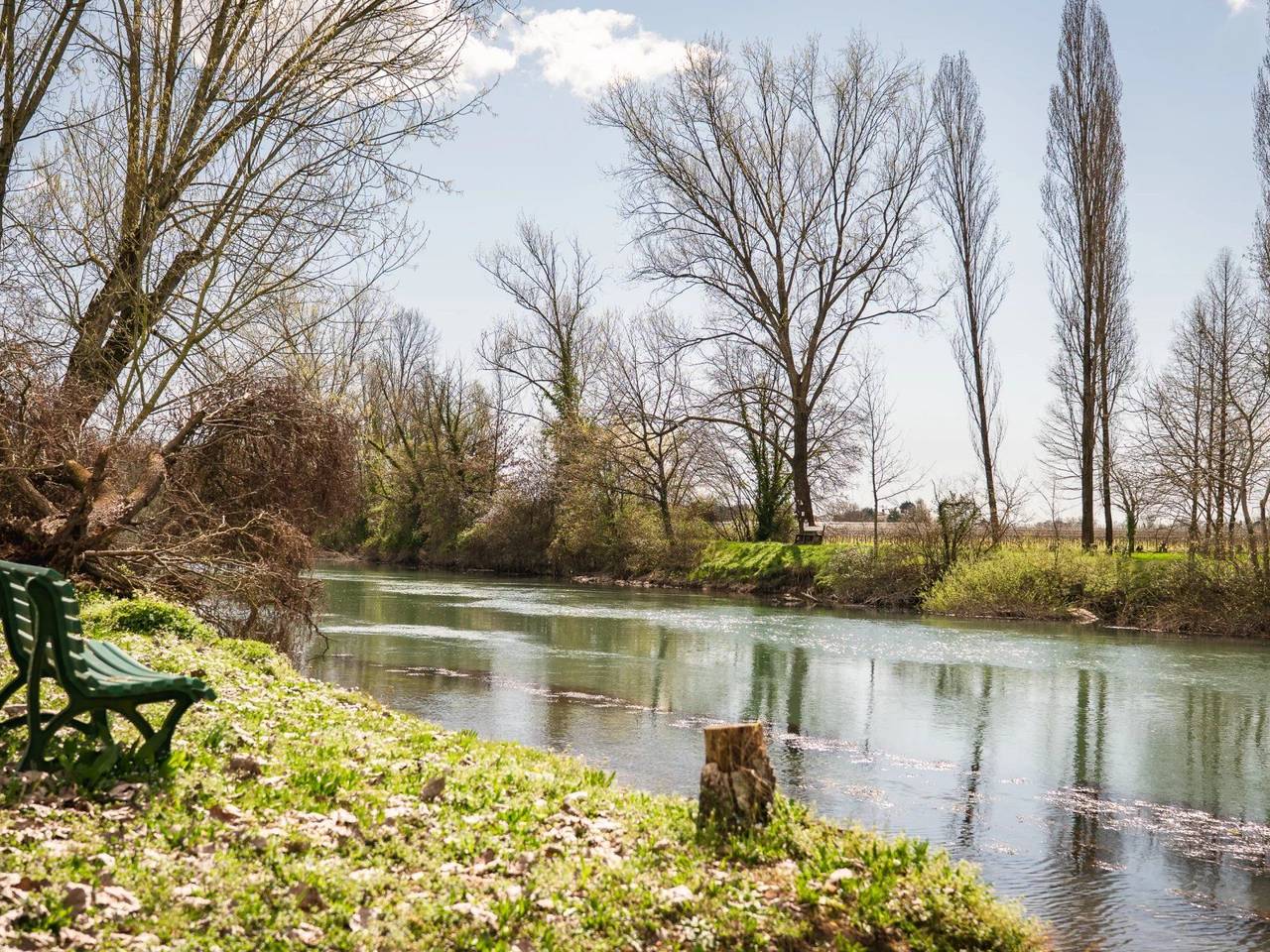 immagine annuncio 9 di 15