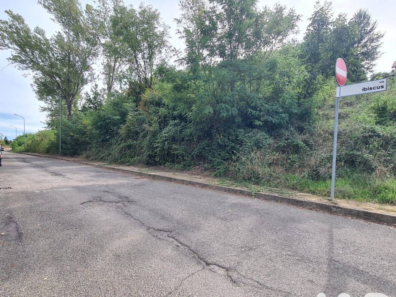 immagine annuncio 9 di 12