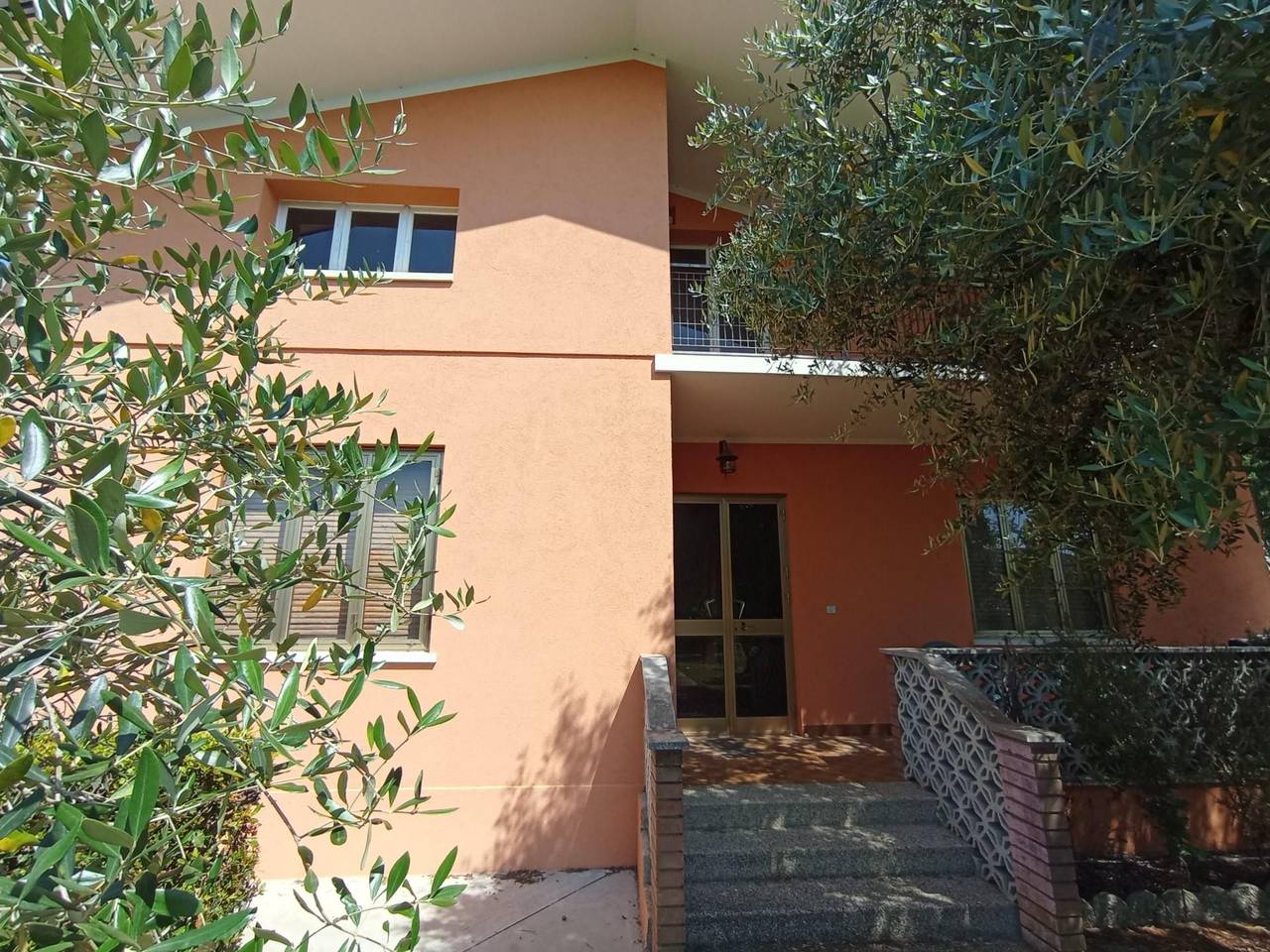 immagine annuncio 2 di 12