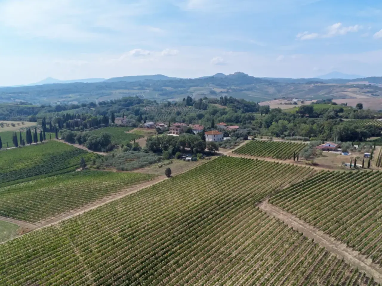 Azienda agricola in , Sarteano, {3} - Foto 1