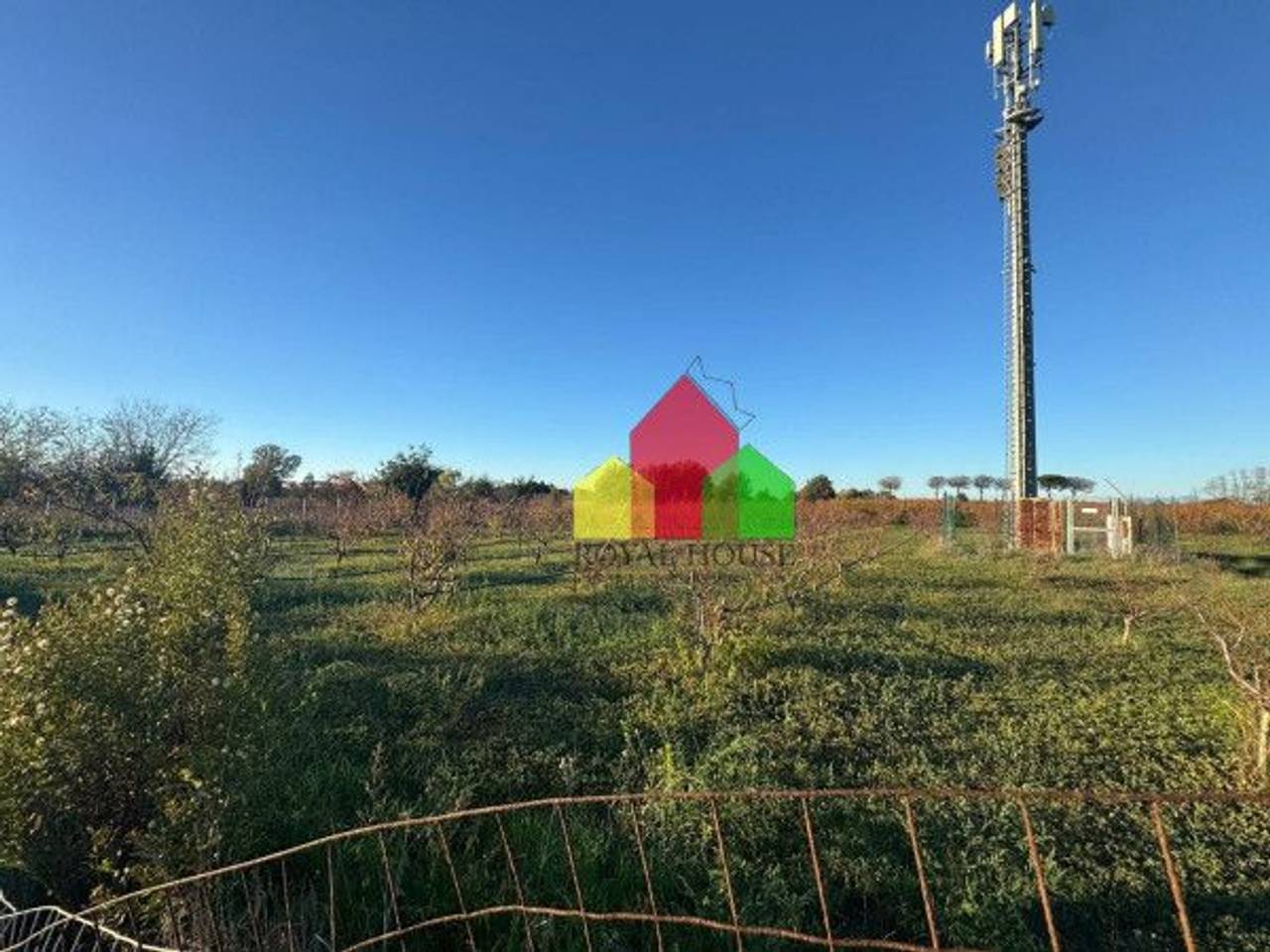 immagine annuncio 1 di 12