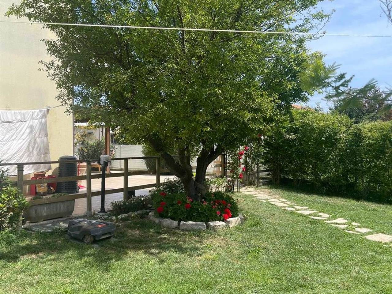 immagine annuncio 5 di 8