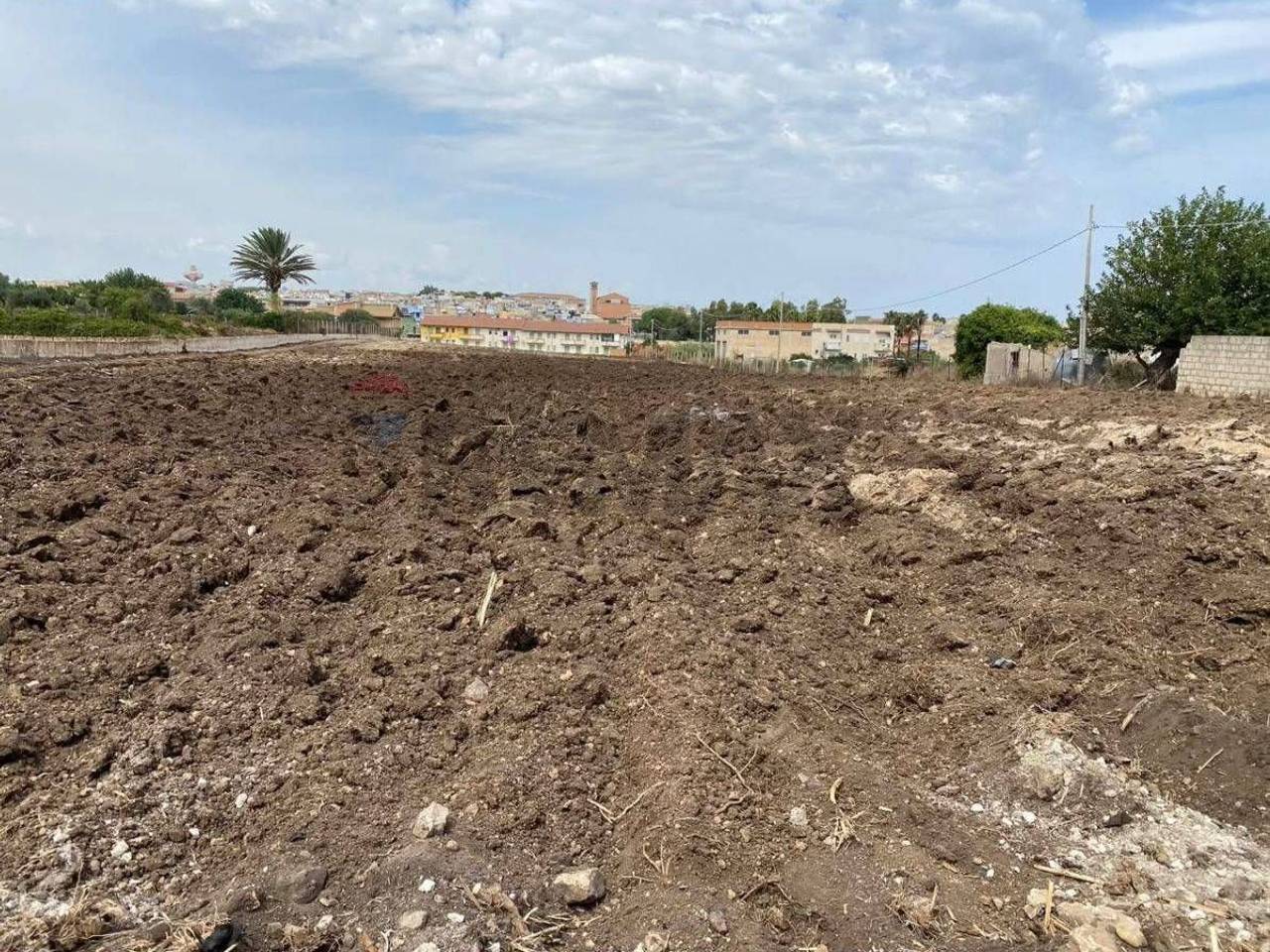 immagine annuncio 1 di 8