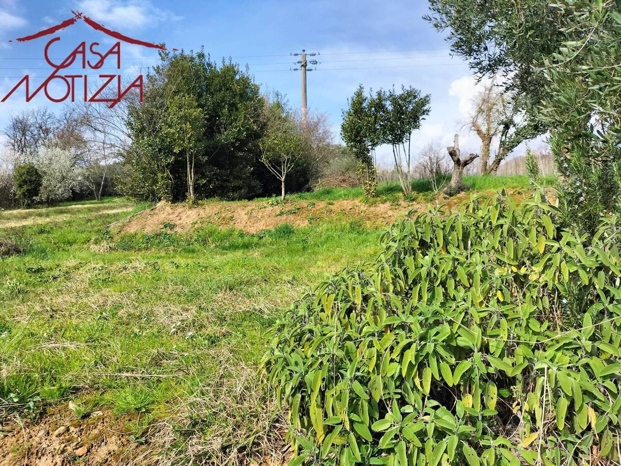 immagine annuncio 8 di 14