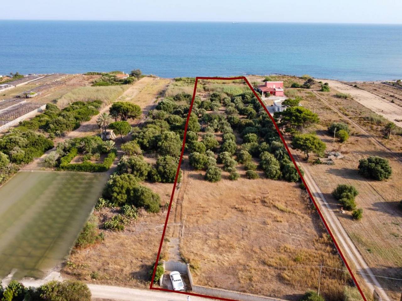 immagine annuncio 3 di 15