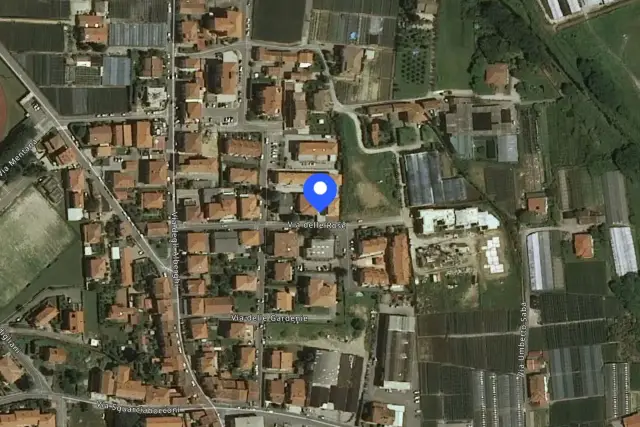 insertion image