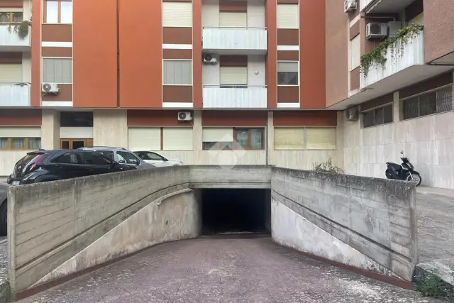 insertion image