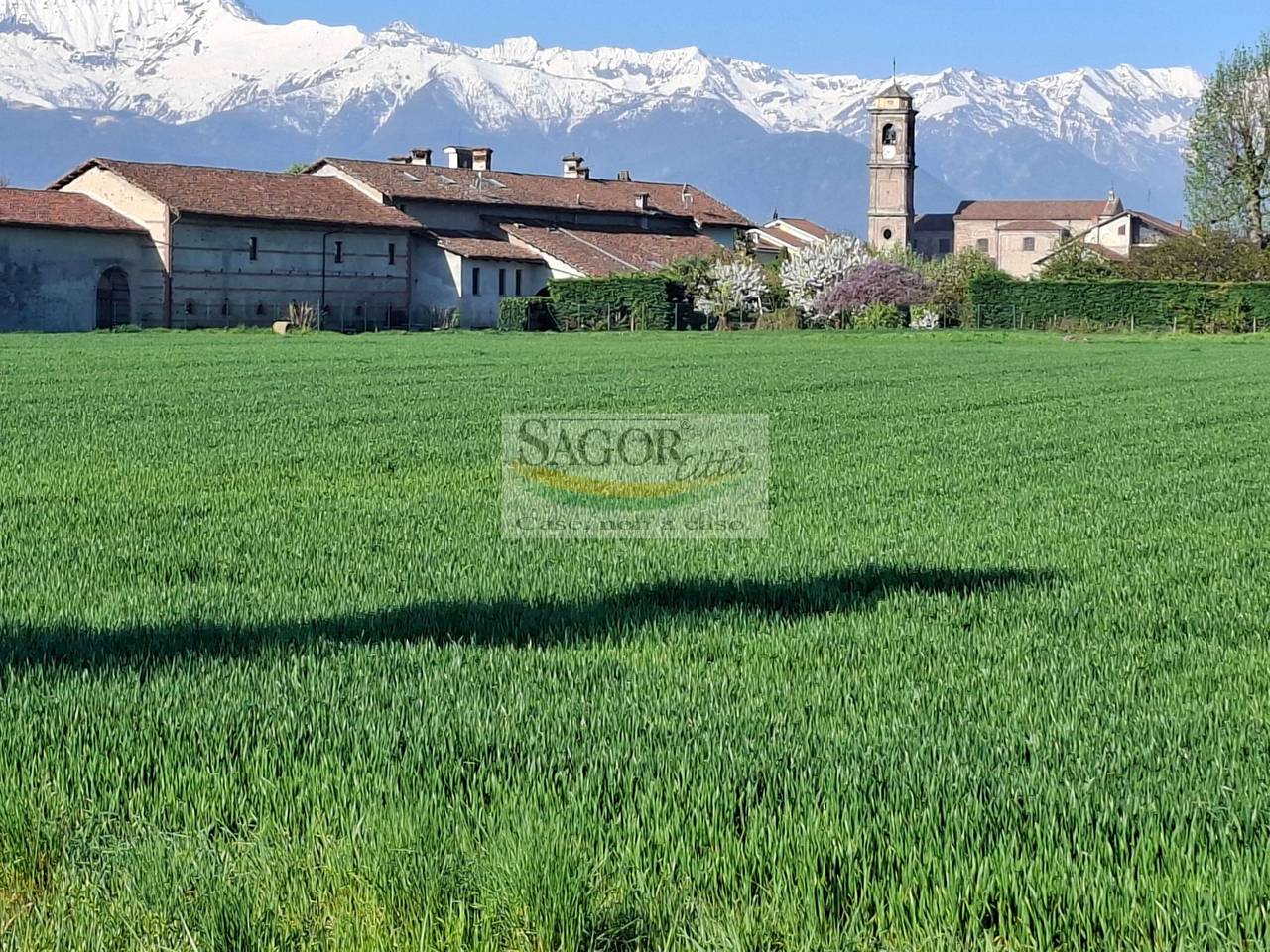 immagine annuncio 3 di 6