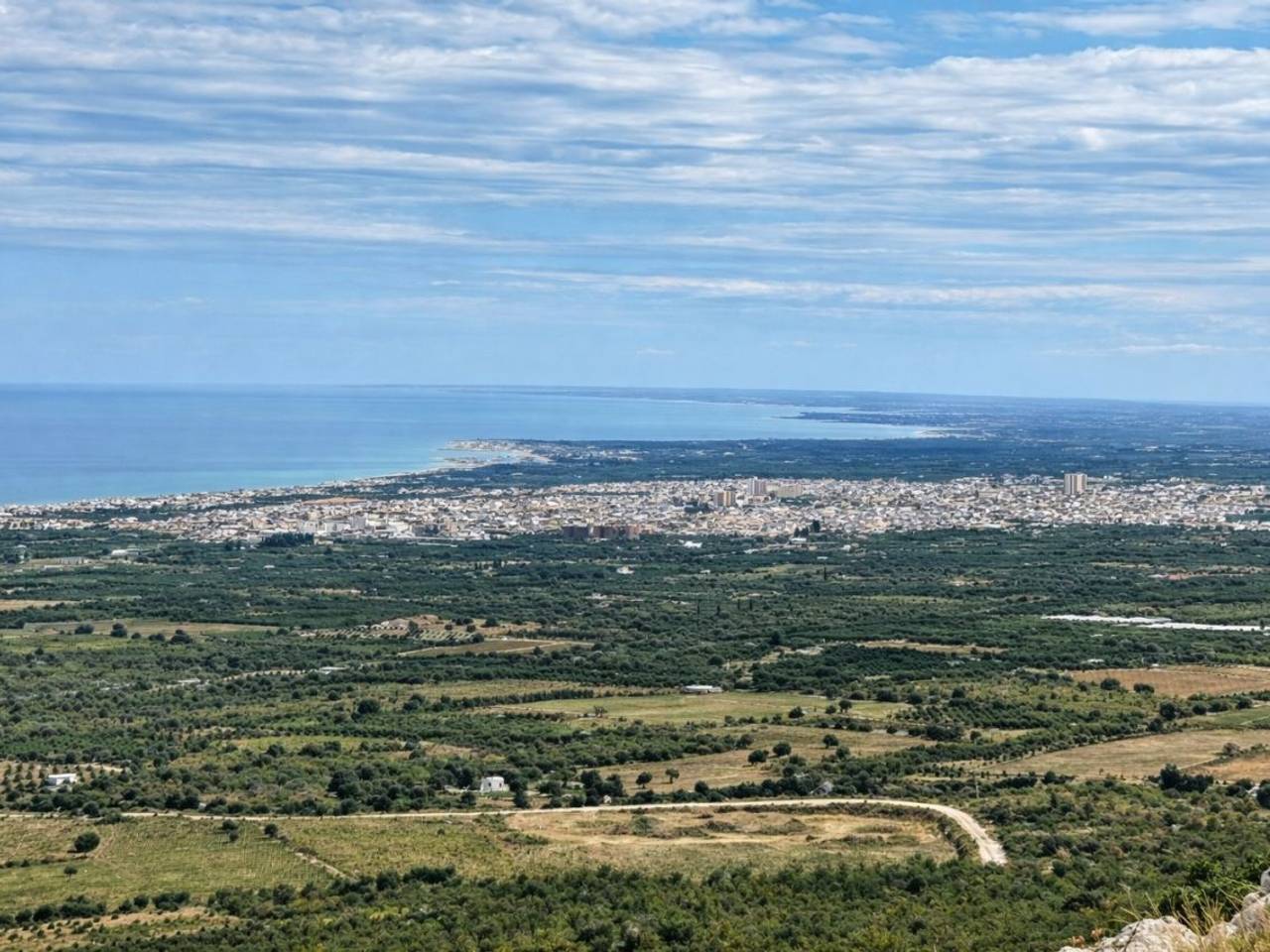 immagine annuncio 3 di 6