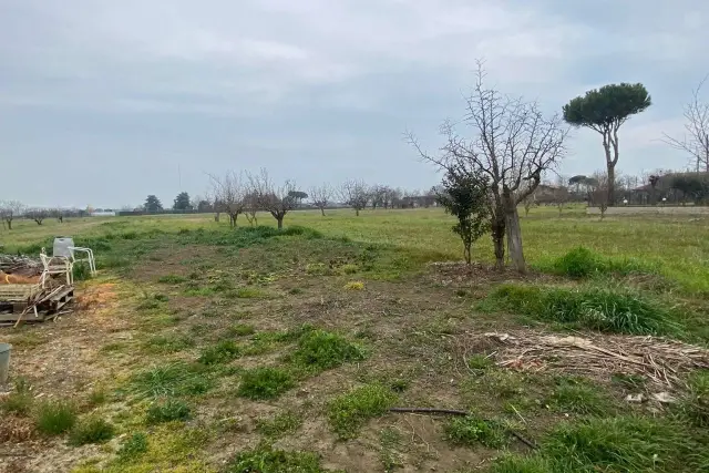 Terreno agricolo, Rimini - Foto 1