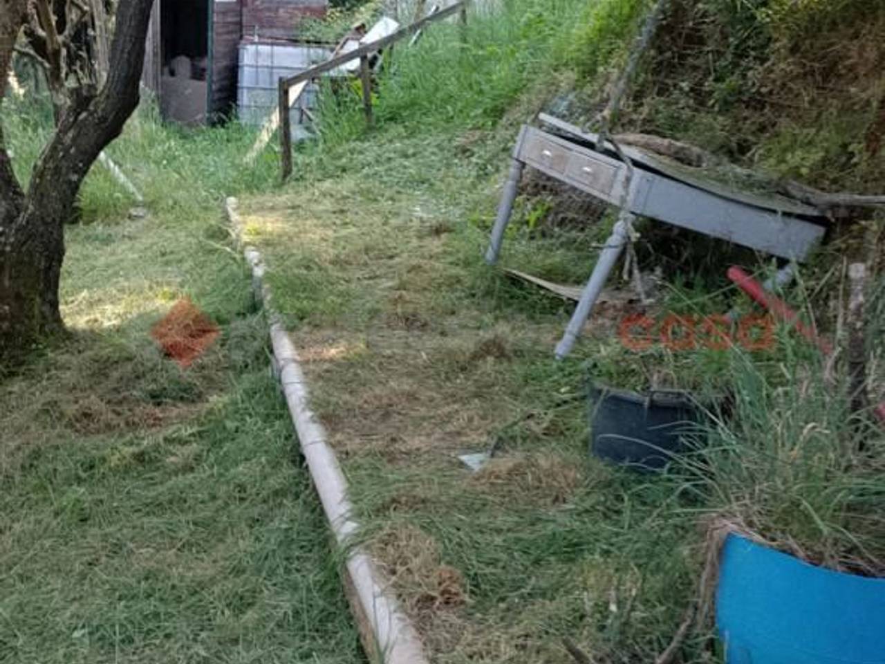 immagine annuncio 3 di 4
