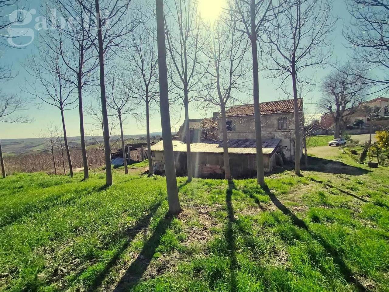 immagine annuncio 3 di 6