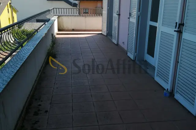 insertion image
