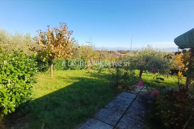 insertion image